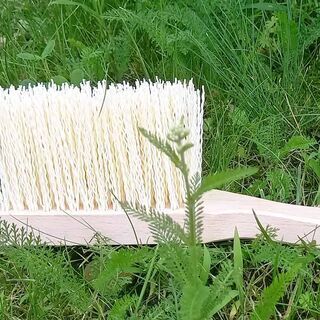 Lawn mower brush